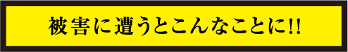 被害に遭うとこんなことに！！