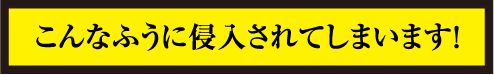 こんなふうに侵入されてしまいます！